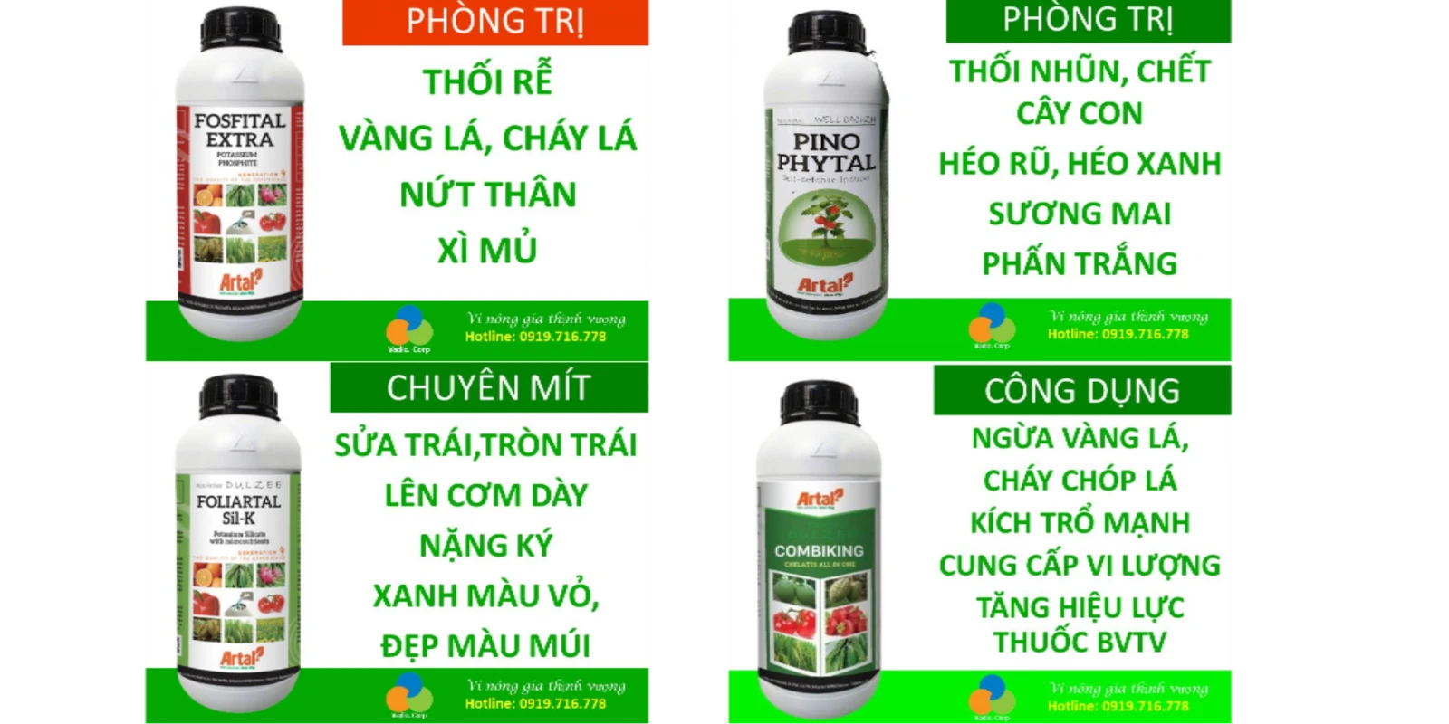 PHÒNG NGỪA XƠ ĐEN MÍT